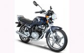 2010 Giantco Hunter City 125 photo